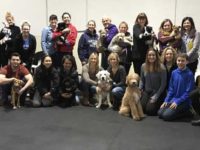 Two Puppy Classes and One Obedience Class Later