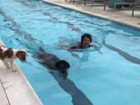 Doggie Day in the neighborhood