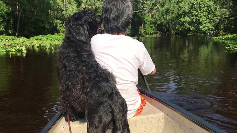 Spring Break 2018 To Florida