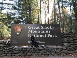 Portuguese Water Dog in Great Smoky Mountains National Park