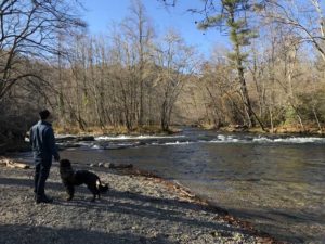 Portuguese Water Dog in Great Smoky Mountains National Park