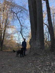 Portuguese Water Dog in Great Smoky Mountains National Park