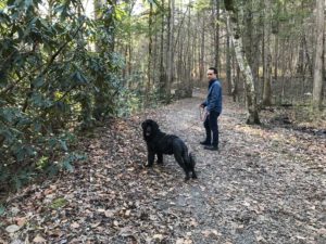 Portuguese Water Dog in Great Smoky Mountains National Park