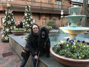 Portuguese Water Dog in Great Smoky Mountains National Park