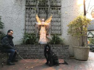 Portuguese Water Dog in Great Smoky Mountains National Park