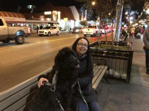 Portuguese Water Dog in Great Smoky Mountains National Park