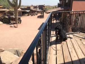 Goldfield Ghost Town Arizona