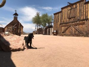 Goldfield Ghost Town Arizona