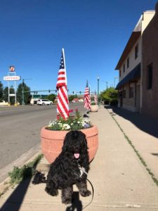 Gunnison Colorado