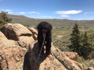 Hartman Rocks Colorado