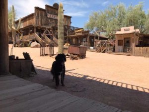 Goldfield Ghost Town Arizona