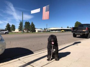 Gunnison Colorado