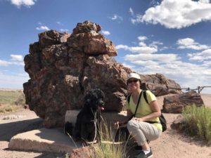 Petrified Forest National Park Arizona