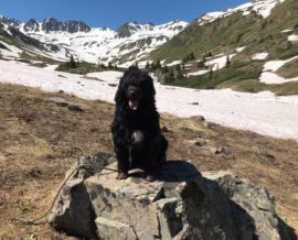 Summer 2019 Trip to Colorado