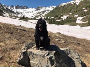 American Basin Colorado