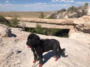 Petrified Forest National Park Arizona