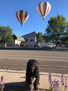 Gunnison Colorado