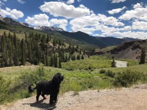 American Basin Colorado