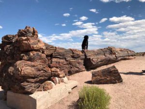 Petrified Forest National Park Arizona