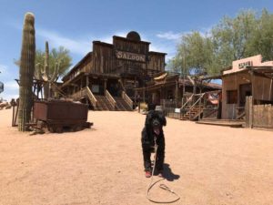 Goldfield Ghost Town Arizona