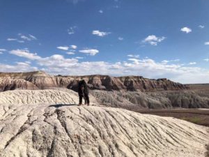 Petrified Forest National Park Arizona