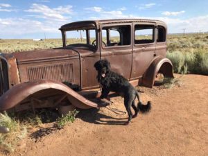 Goldfield Ghost Town Arizona