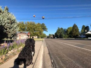 Gunnison Colorado