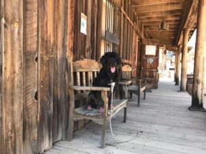 Goldfield Ghost Town Arizona