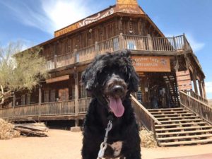 Goldfield Ghost Town Arizona